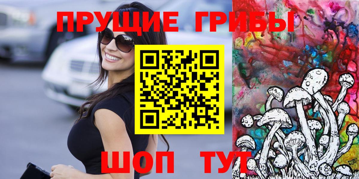 где найти   Галлюциногенные грибы GOLDEN TEACHER  Псилоцибиновые грибы ЛСД  Вход с VPN  Рославль 